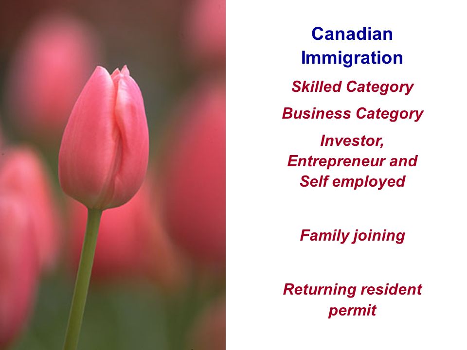 Canadian Immigration Skilled Category Business Category Investor, Entrepreneur and Self employed Family joining Returning resident permit