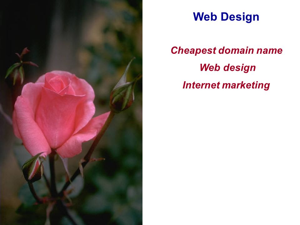 Web Design Cheapest domain name Web design Internet marketing
