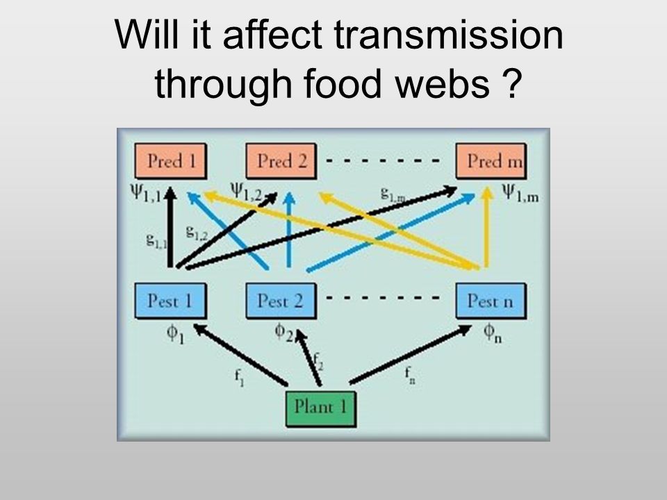Will it affect transmission through food webs