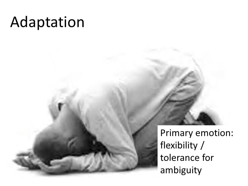 Adaptation Primary emotion: flexibility / tolerance for ambiguity