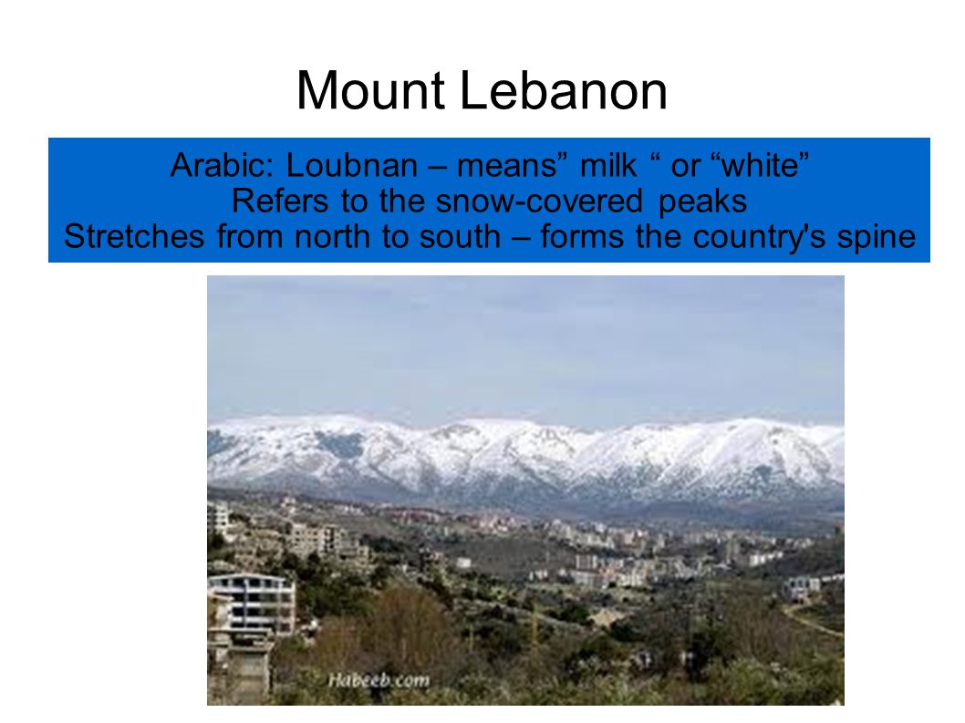 Mount Lebanon Arabic: Loubnan – means milk or white Refers to the snow-covered peaks Stretches from north to south – forms the country s spine