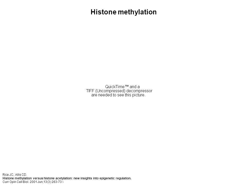 Histone methylation Rice JC, Allis CD.
