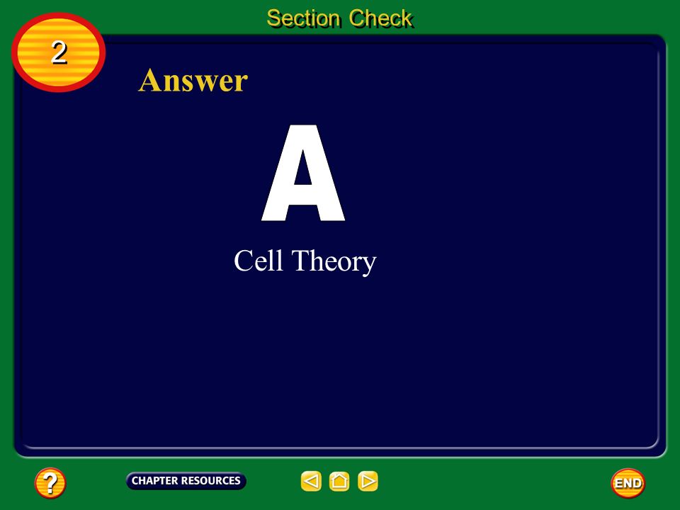2 2 Section Check A. Cell Theory B. Koch’s Rules C.