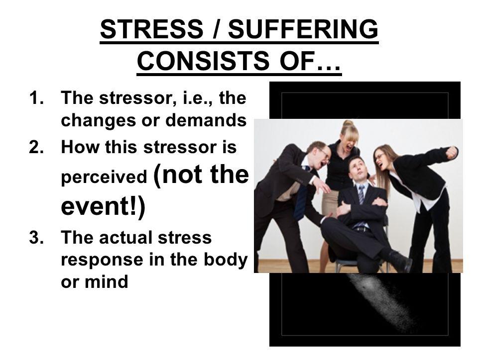 STRESS / SUFFERING CONSISTS OF… 1.The stressor, i.e., the changes or demands 2.How this stressor is perceived (not the event!) 3.The actual stress response in the body or mind