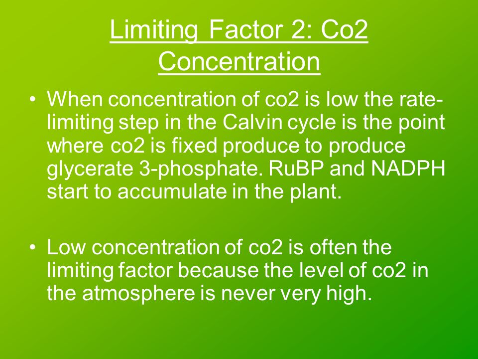 Limiting Factor 2: Co2 Concentration When concentration of co2 is low the rate- limiting step in the Calvin cycle is the point where co2 is fixed produce to produce glycerate 3-phosphate.