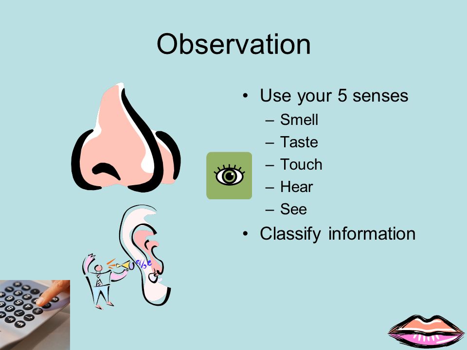 Observation Use your 5 senses –Smell –Taste –Touch –Hear –See Classify information