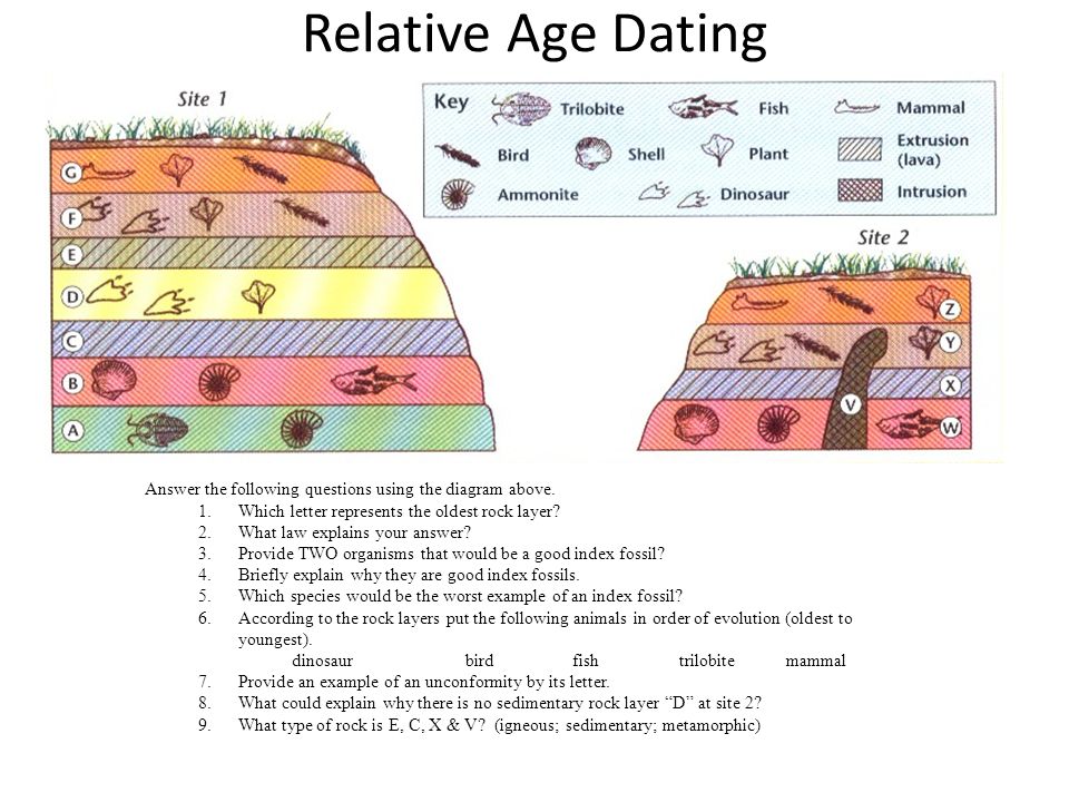 fossil age dating