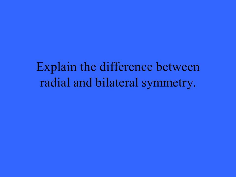 Explain the difference between radial and bilateral symmetry.