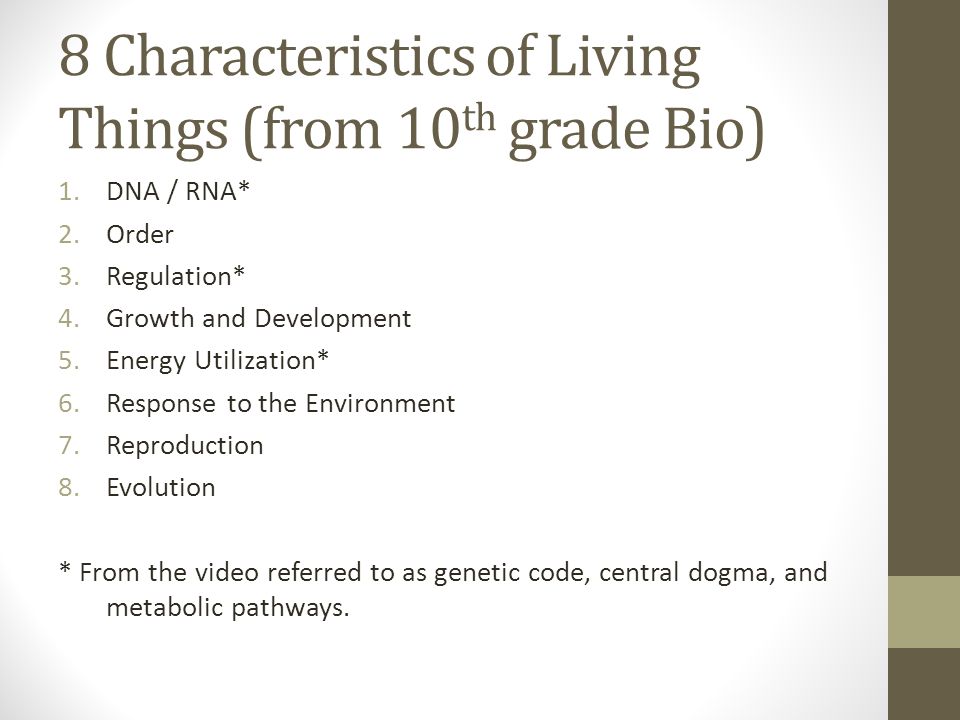 Characteristic Of Life Let S Talk About The Video You Watched Last Night Turn In That Worksheet By The Way Ppt Download