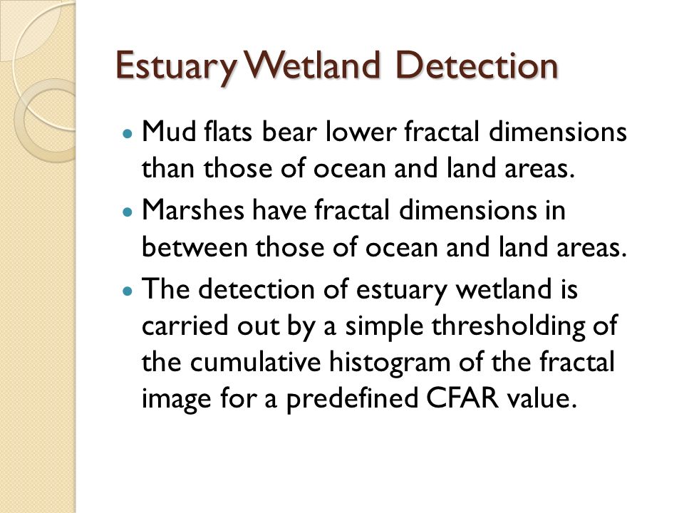 Estuary Wetland Detection Mud flats bear lower fractal dimensions than those of ocean and land areas.