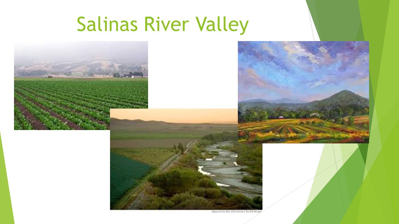 Salinas River Valley