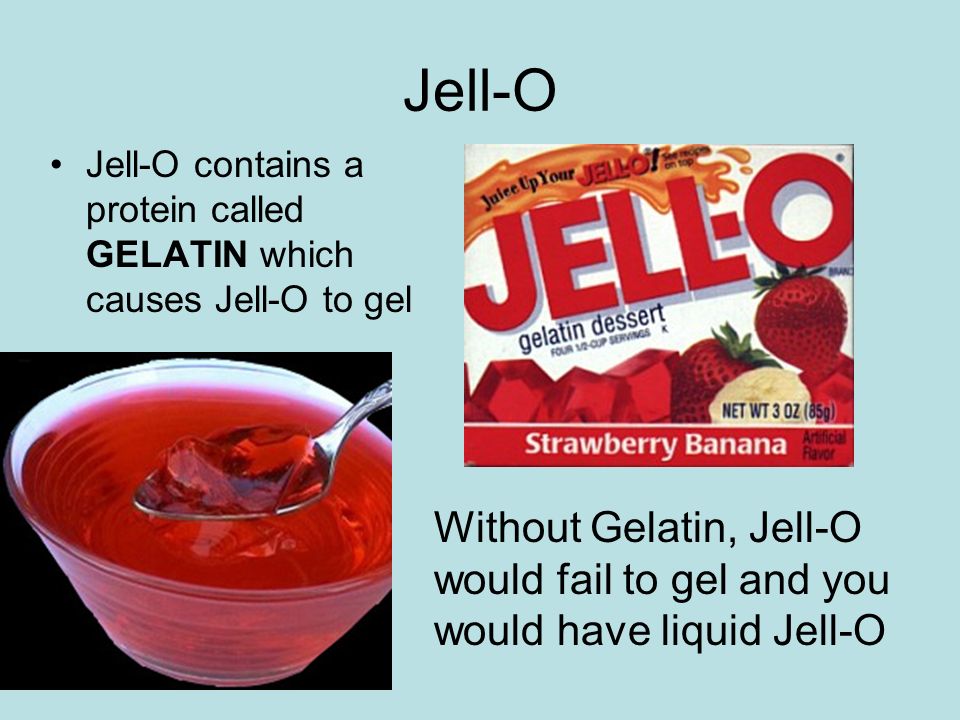 Jell-O Jell-O contains a protein called GELATIN which causes Jell-O to gel Without Gelatin, Jell-O would fail to gel and you would have liquid Jell-O