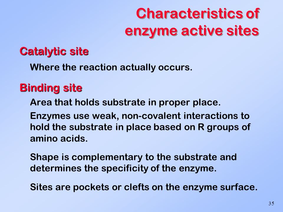 1 Enzymes I Reactions, Kinetics, Inhibition, Applications Enzymes as  Biological Catalysts The Kinetic Properties of Enzymes Substrate Binding  and Enzyme. - ppt download