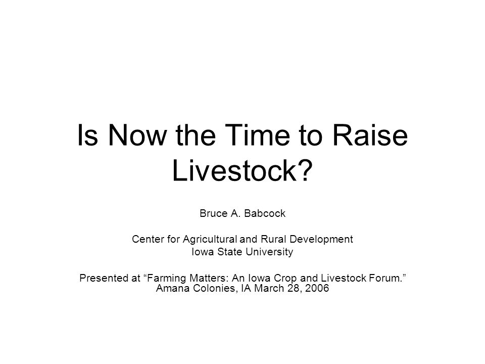 Is Now the Time to Raise Livestock. Bruce A.