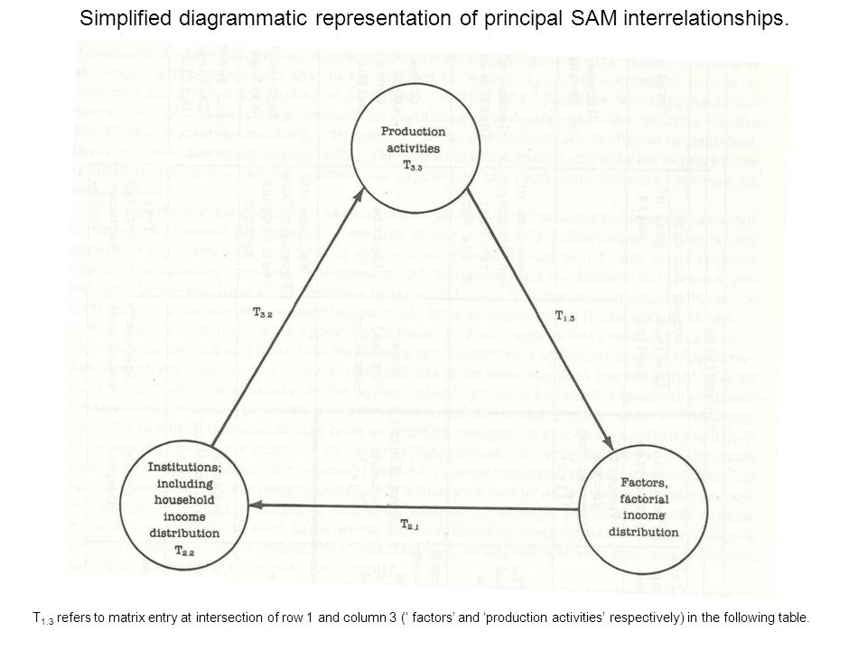 Simplified diagrammatic representation of principal SAM interrelationships.