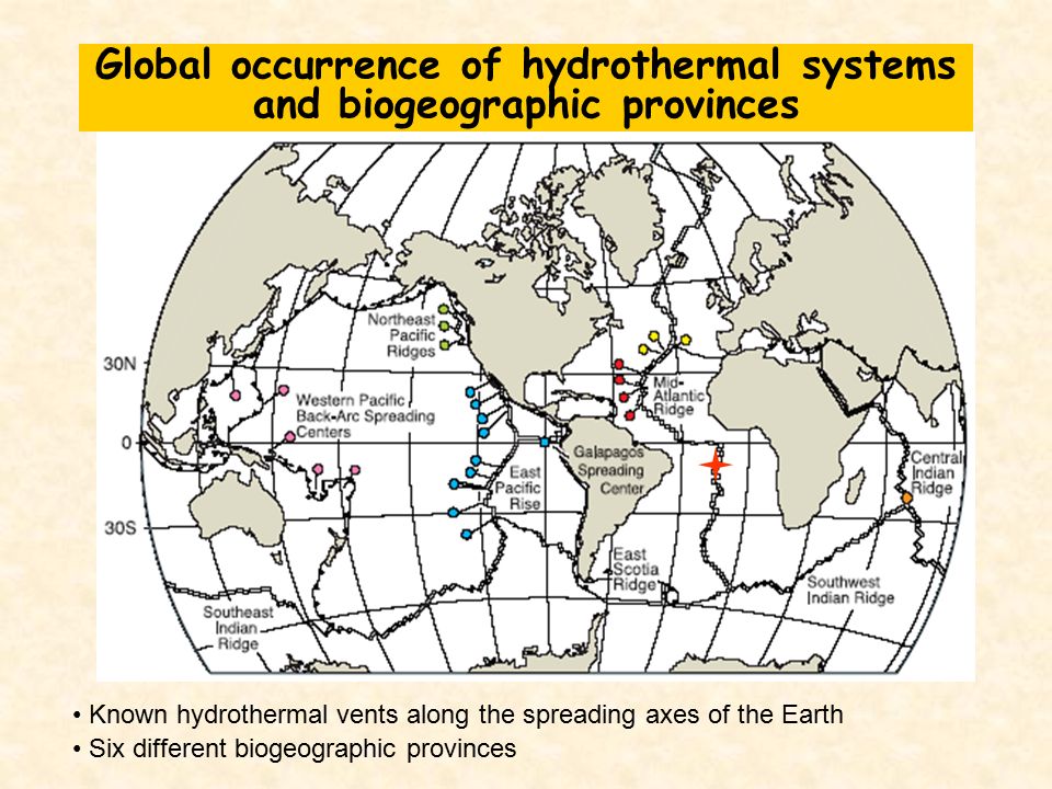 Known hydrothermal vents along the spreading axes of the Earth Six different biogeographic provinces Global occurrence of hydrothermal systems and biogeographic provinces