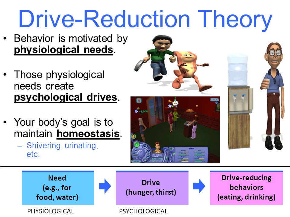 Image result for Drive-Reduction Theory