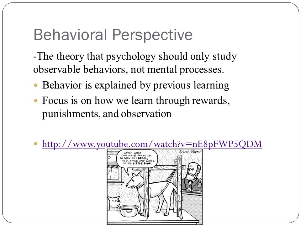 what is behavioral perspective in psychology