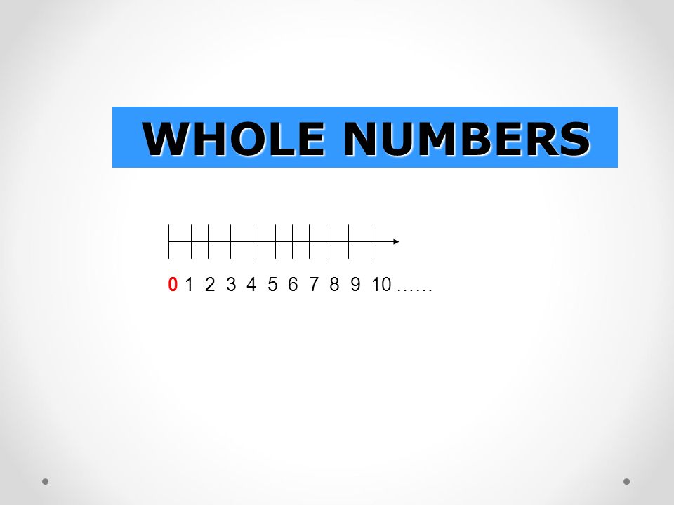 WHOLE NUMBERS ……0