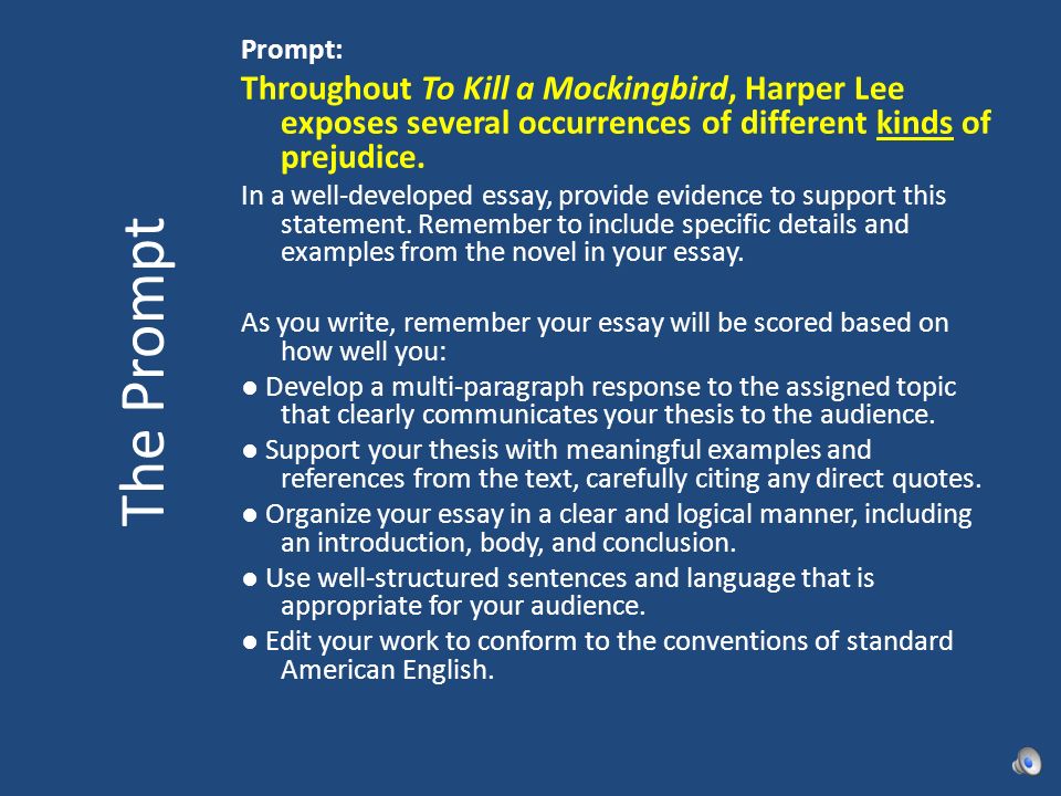 different types of prejudice in to kill a mockingbird