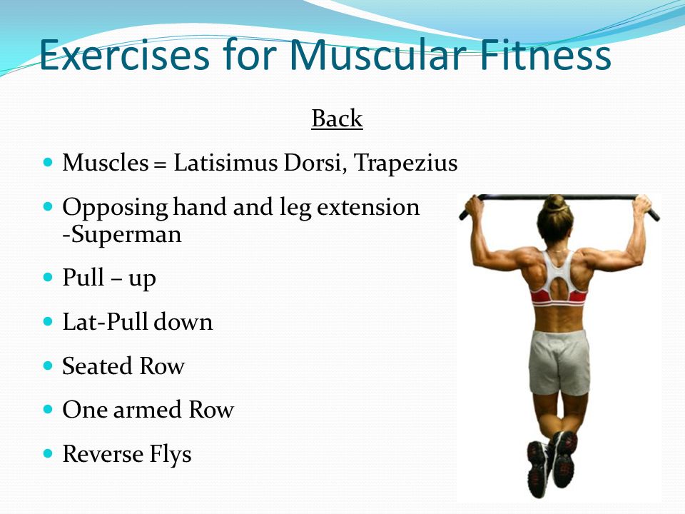 Objectives What is the difference between muscular strength and muscular  endurance? What benefits are associated with good muscle fitness? What are  myths. - ppt download