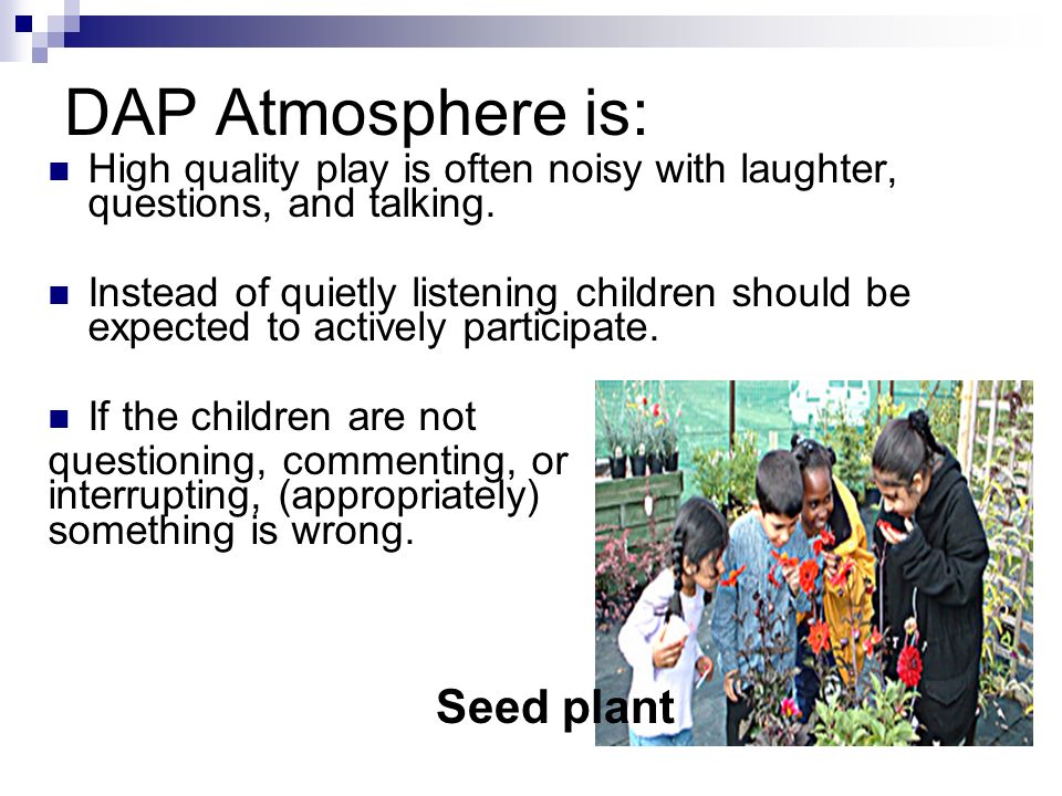 DAP Atmosphere is: High quality play is often noisy with laughter, questions, and talking.