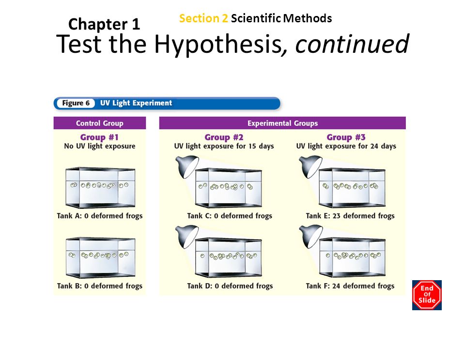 Chapter 1 Test the Hypothesis, continued Section 2 Scientific Methods