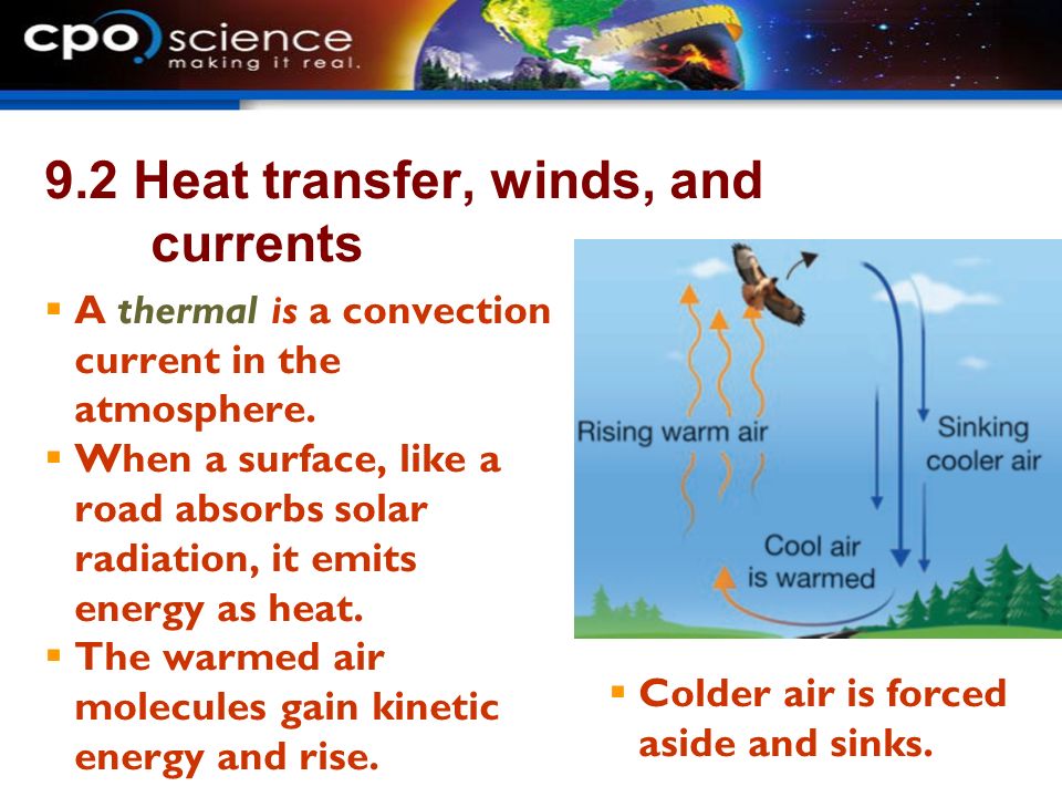 9.2 Heat transfer, winds, and currents  A thermal is a convection current in the atmosphere.