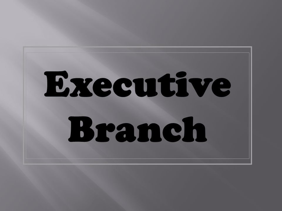 the executive branch, the legislative branch, and the judicial branch.
