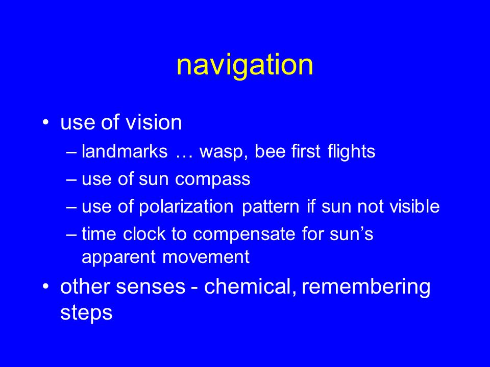 navigation use of vision –landmarks … wasp, bee first flights –use of sun compass –use of polarization pattern if sun not visible –time clock to compensate for sun’s apparent movement other senses - chemical, remembering steps