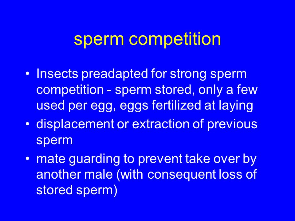 sperm competition Insects preadapted for strong sperm competition - sperm stored, only a few used per egg, eggs fertilized at laying displacement or extraction of previous sperm mate guarding to prevent take over by another male (with consequent loss of stored sperm)