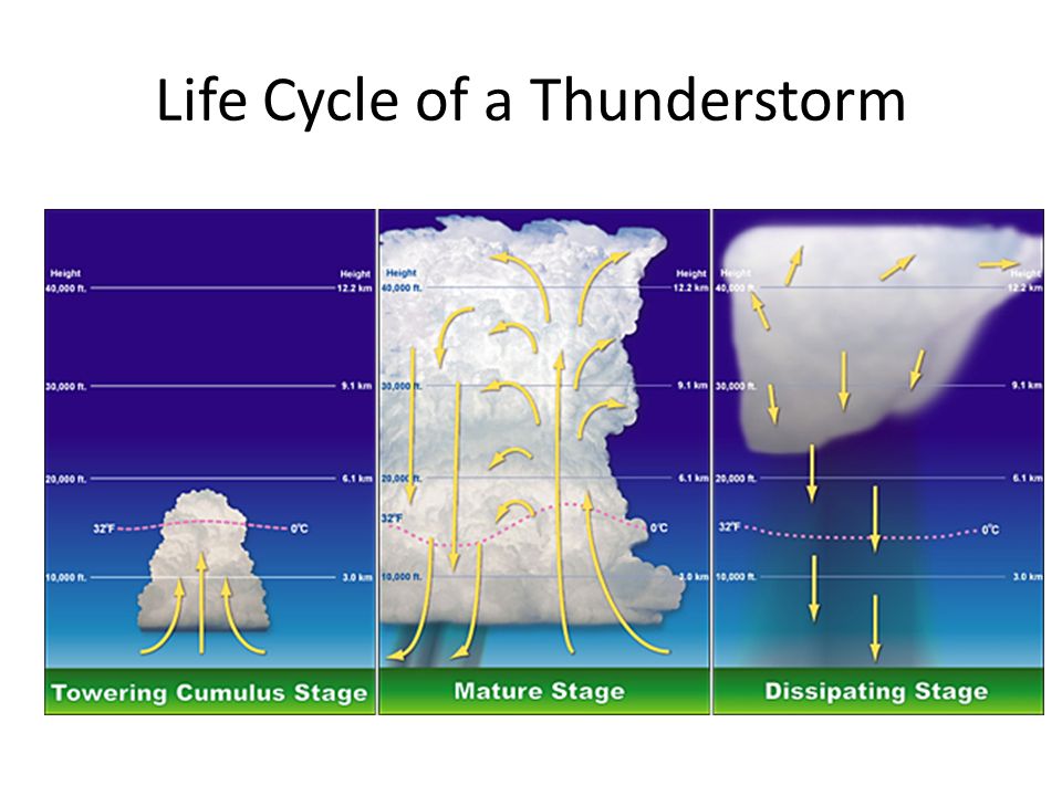 Life Cycle of a Thunderstorm