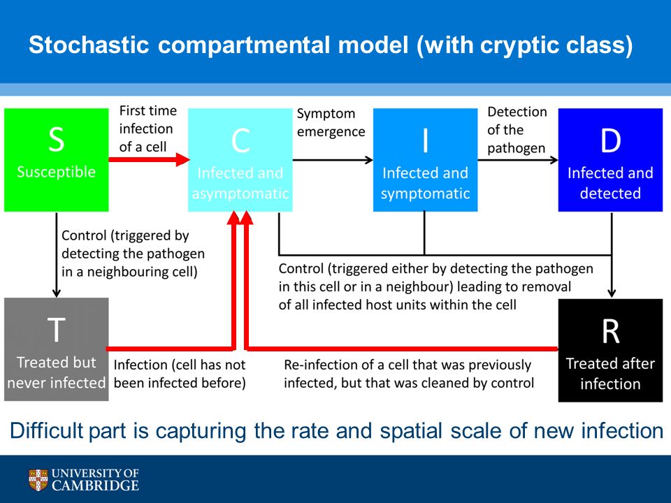 Stochastic compartmental model (with cryptic class) Difficult part is capturing the rate and spatial scale of new infection