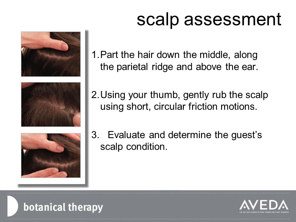 Beauty Image. learning objectives After this training, you will be able to:  Perform the Botanical Therapy scalp and hair treatments Use the Botanical.  - ppt download