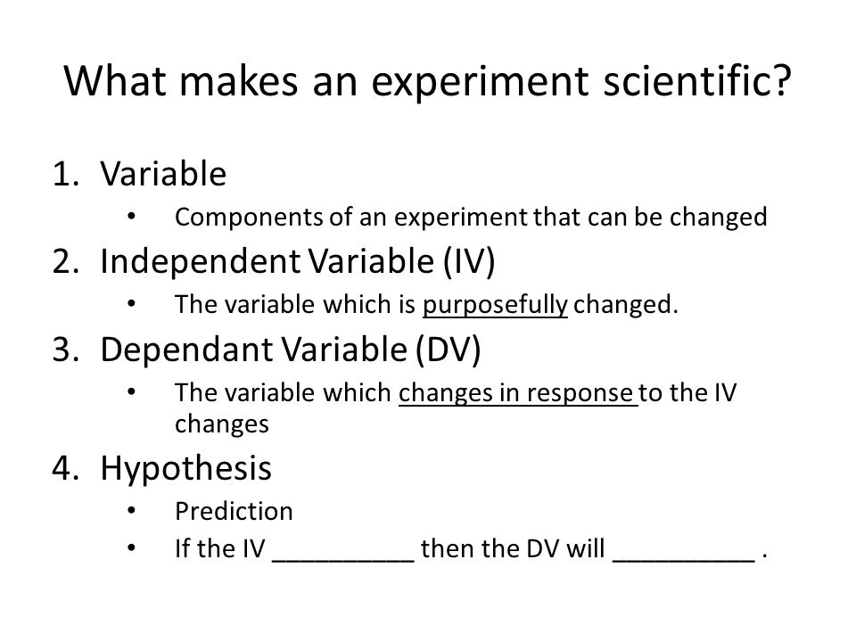 What makes an experiment scientific.
