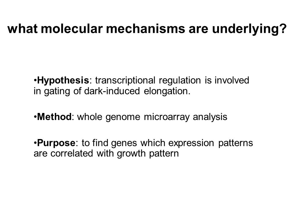 what molecular mechanisms are underlying.