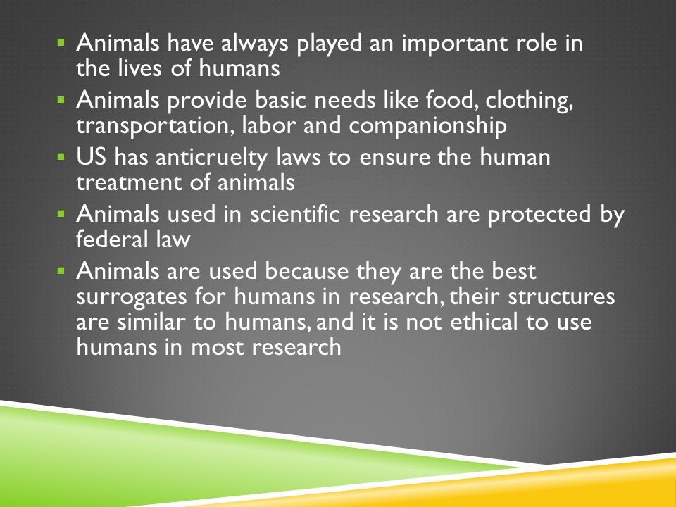 ANIMAL RESEARCH VS. ANIMAL RIGHTS.  Animals have always played an important  role in the lives of humans  Animals provide basic needs like food,  clothing, - ppt download