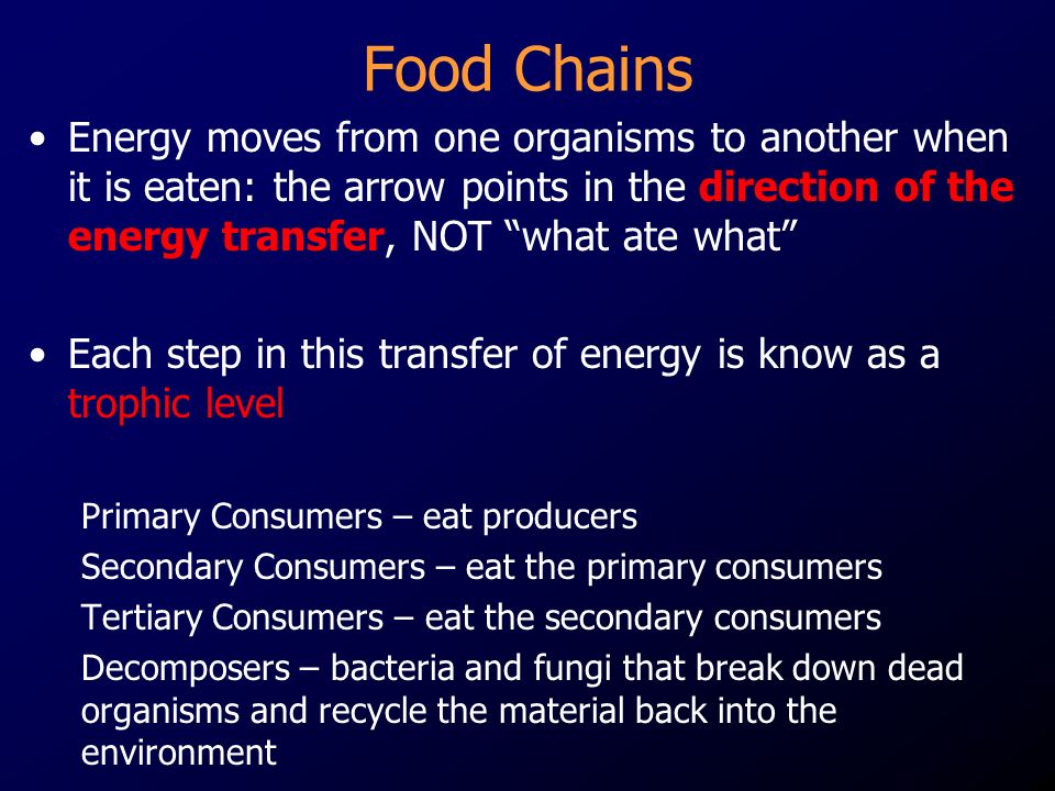 Food Chains Energy moves from one organisms to another when it is eaten: the arrow points in the direction of the energy transfer, NOT what ate what Each step in this transfer of energy is know as a trophic level Primary Consumers – eat producers Secondary Consumers – eat the primary consumers Tertiary Consumers – eat the secondary consumers Decomposers – bacteria and fungi that break down dead organisms and recycle the material back into the environment