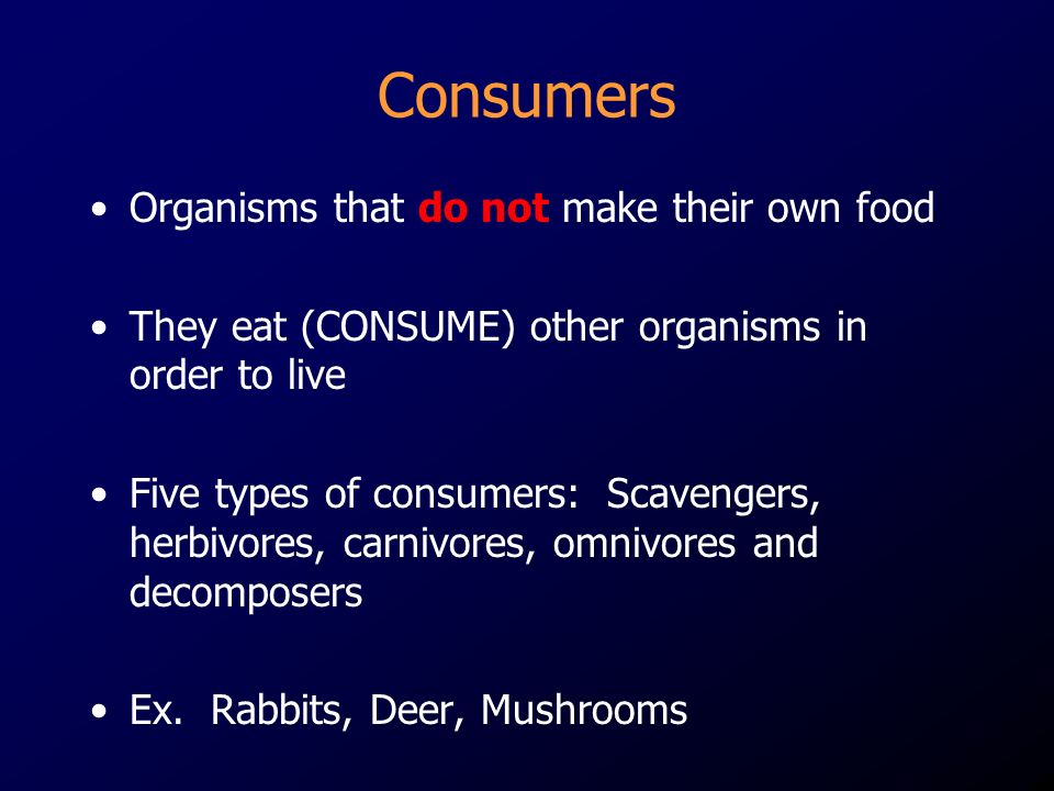 Consumers Organisms that do not make their own food They eat (CONSUME) other organisms in order to live Five types of consumers: Scavengers, herbivores, carnivores, omnivores and decomposers Ex.