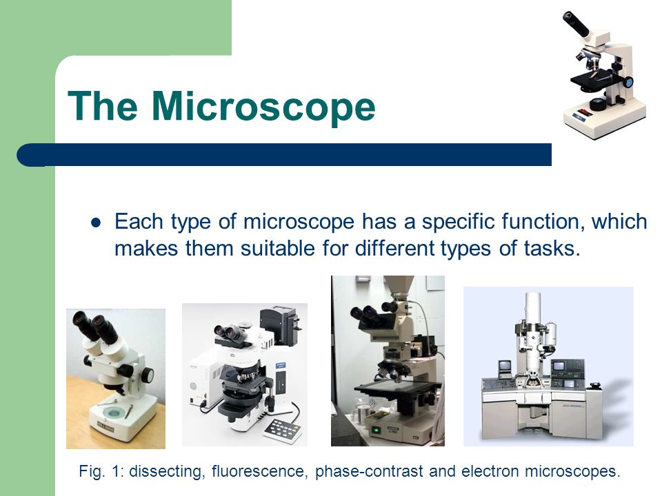 other types of microscope