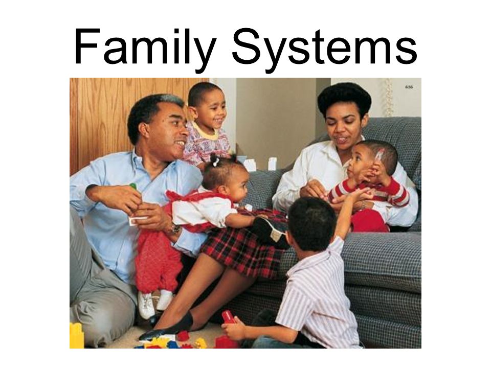 Family Systems