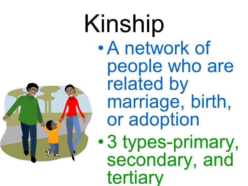 Kinship A network of people who are related by marriage, birth, or adoption 3 types-primary, secondary, and tertiary