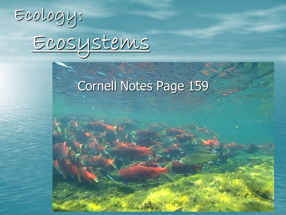Ecology: Ecosystems Cornell Notes Page 159