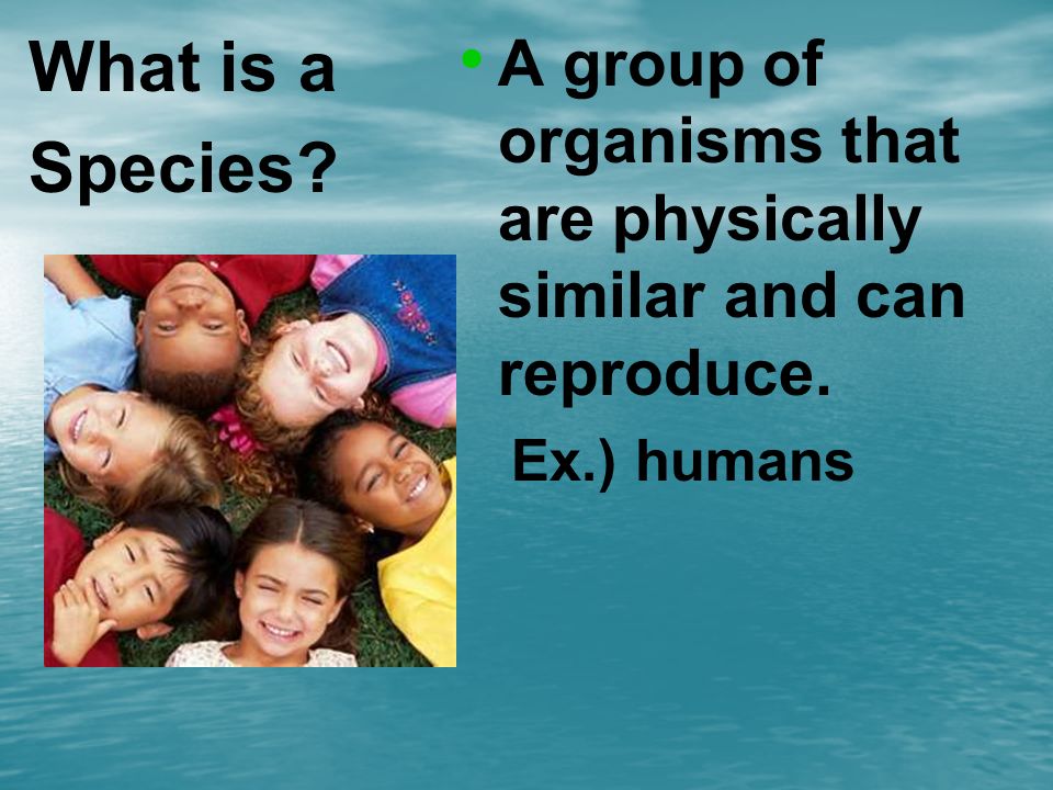 What is a Species A group of organisms that are physically similar and can reproduce. Ex.) humans
