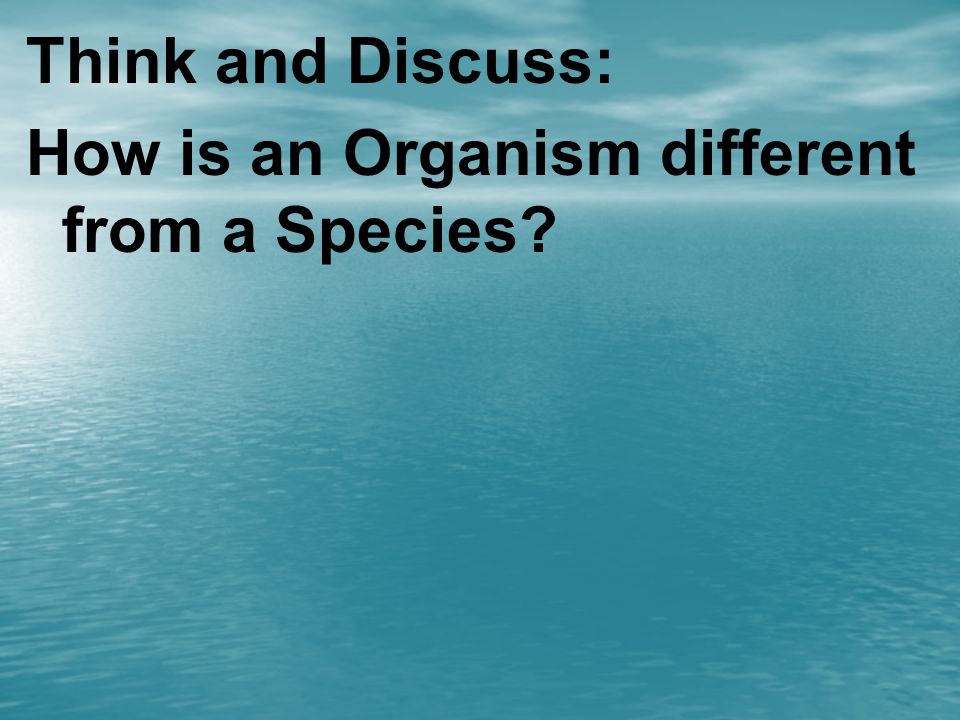 Think and Discuss: How is an Organism different from a Species