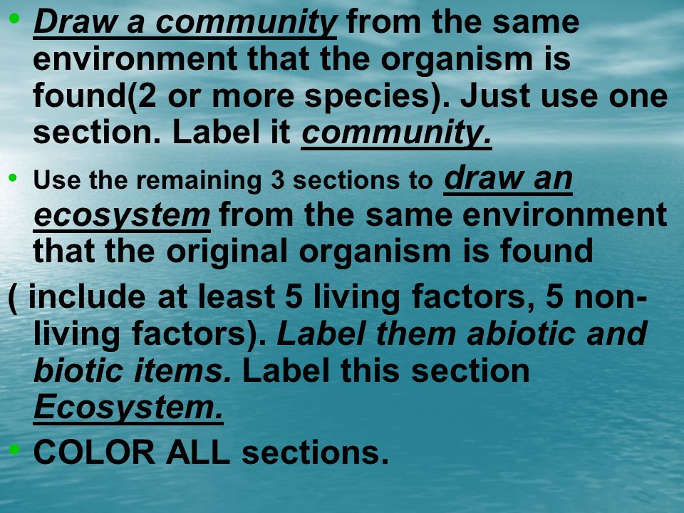 Draw a community from the same environment that the organism is found(2 or more species).