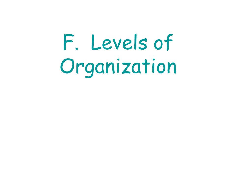 F. Levels of Organization
