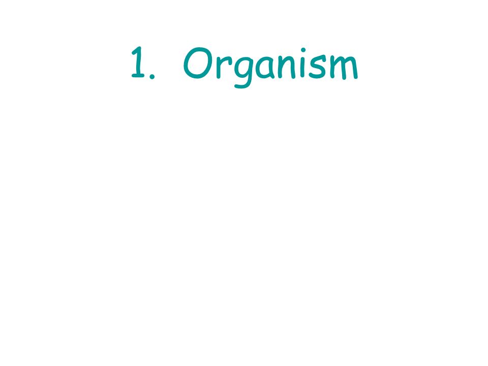 1. Organism