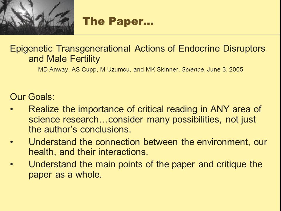 college or university essay conclusion example