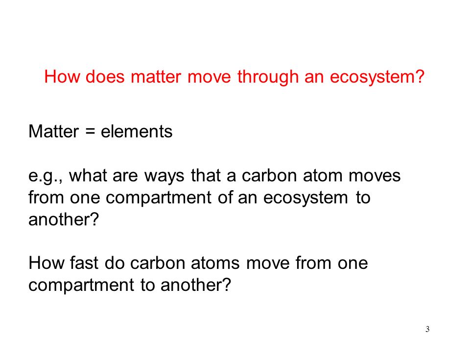 3 Matter = elements e.g., what are ways that a carbon atom moves from one compartment of an ecosystem to another.